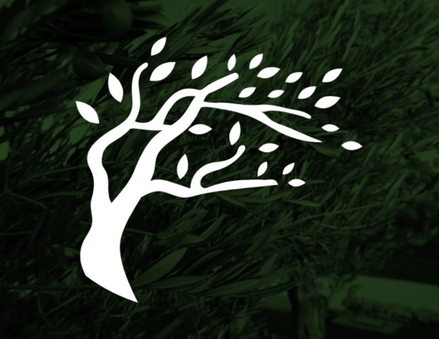 The Kardam Consulting tree marque on deep green